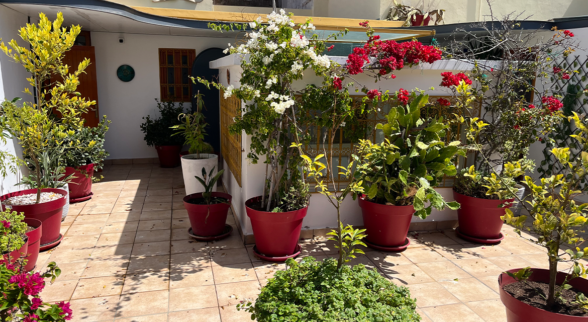 Photo de la propriété 1